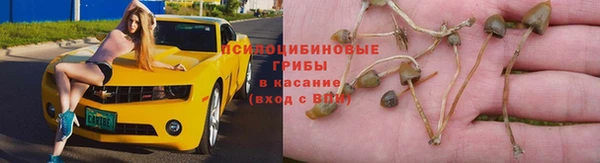 прущая мука Алзамай